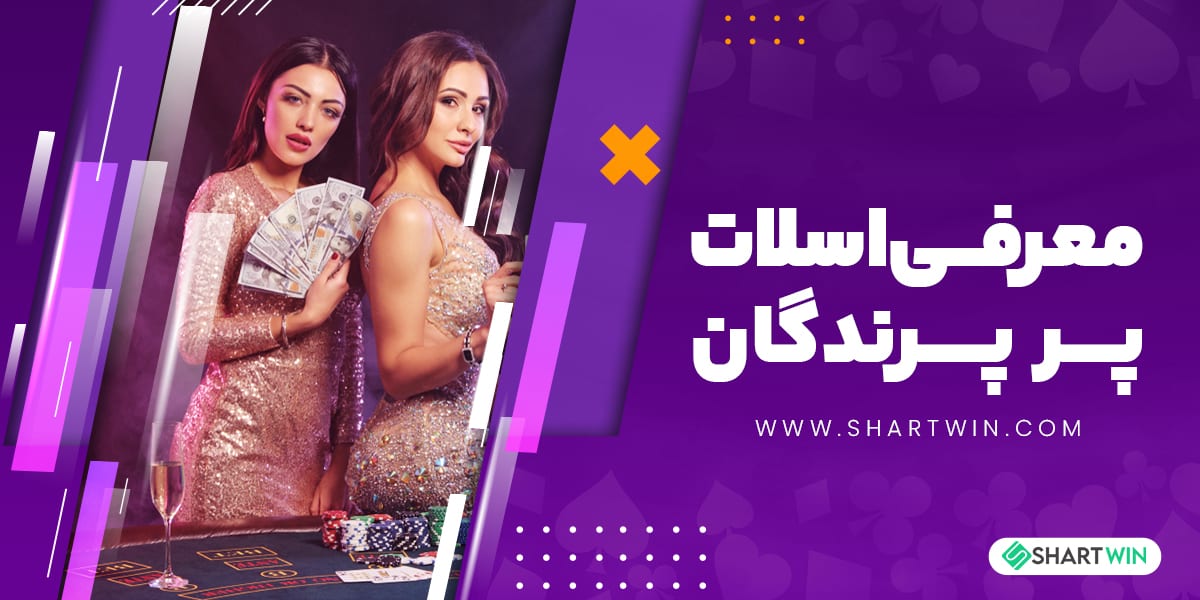 معرفی اسلات پر پرندگان
