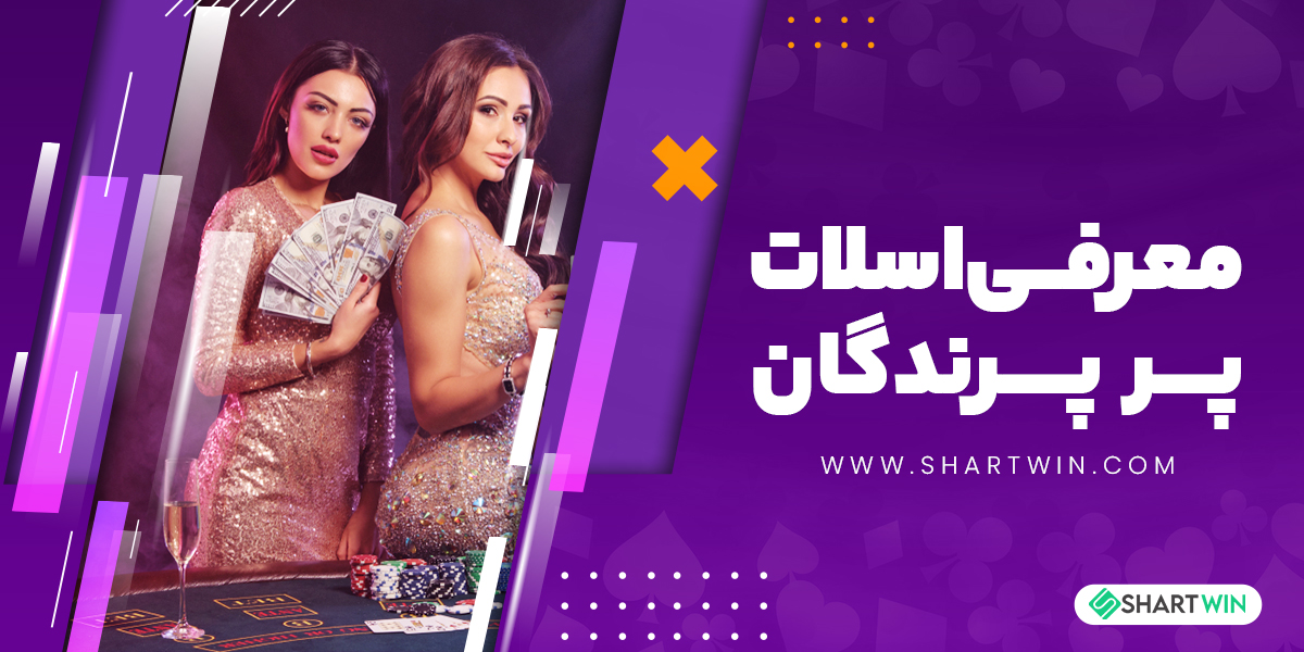 معرفی اسلات پر پرندگان