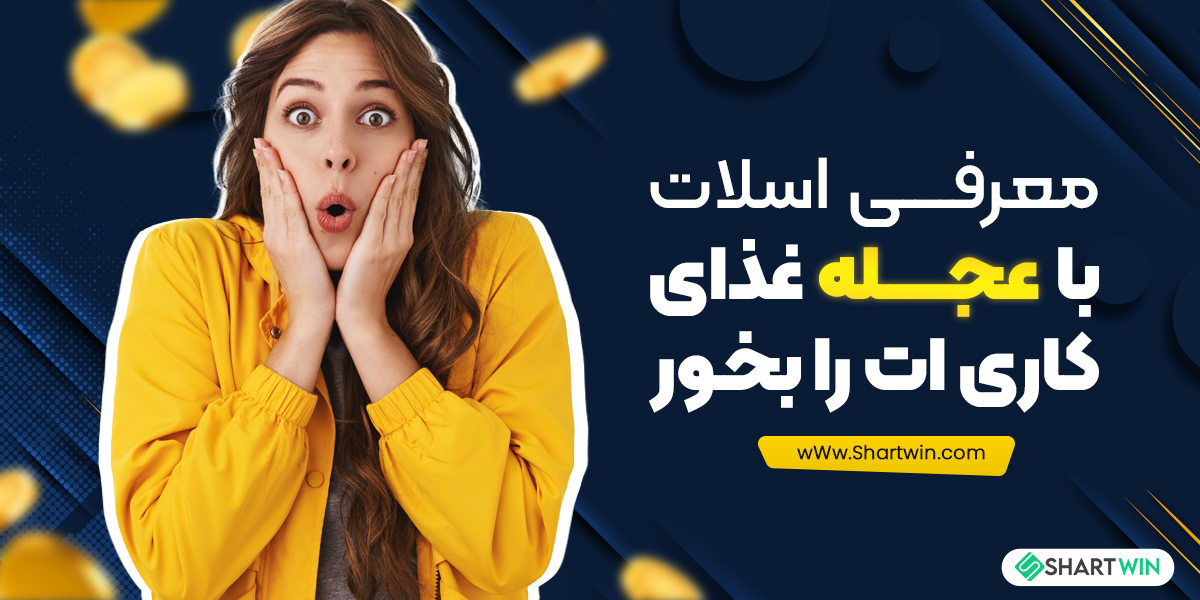 معرفی اسلات با عجله غذای کاری ات را بخور