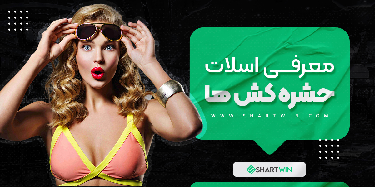 معرفی اسلات حشره کش ها معرفی اسلات حشره کش ها