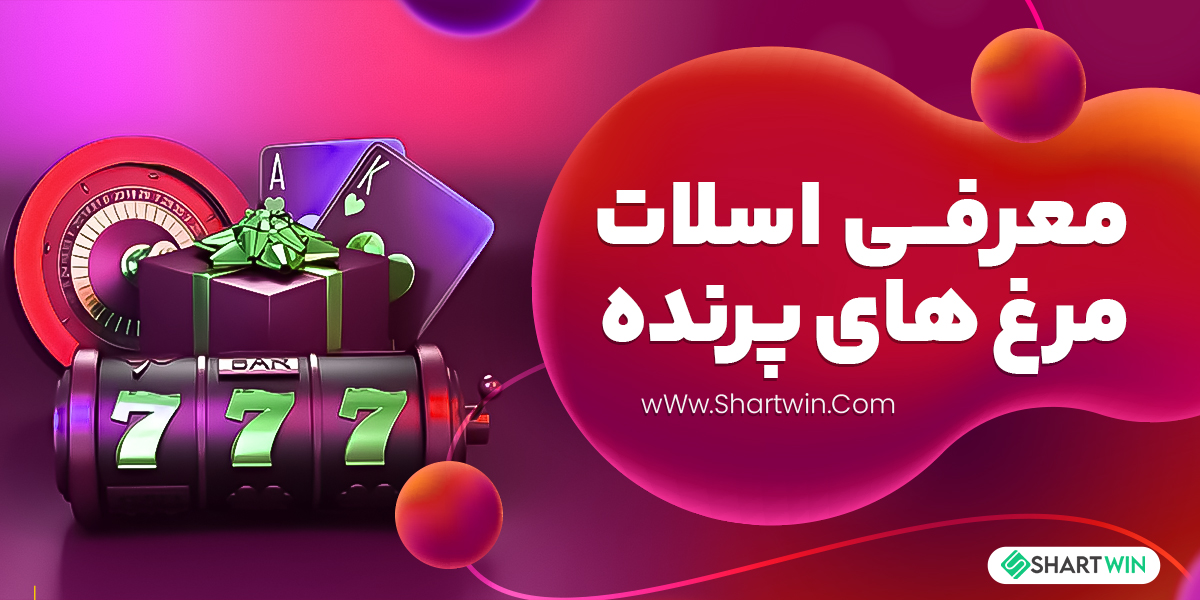 معرفی اسلات مرغ های پرنده