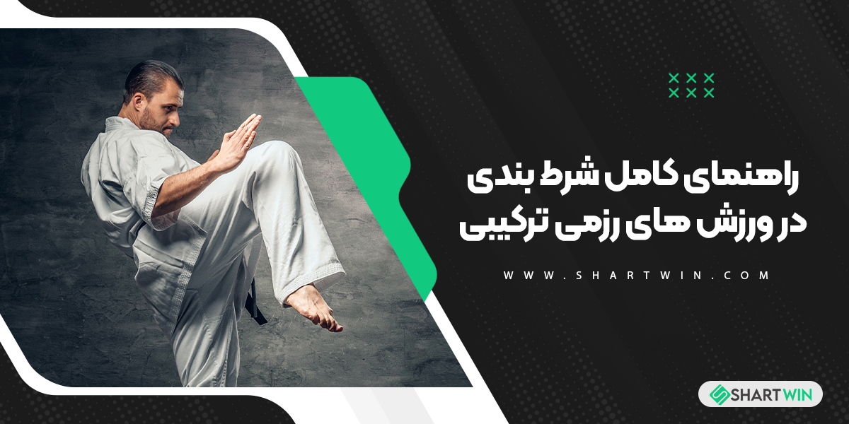 راهنمای کامل شرط بندی در ورزش های رزمی ترکیبی